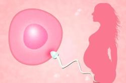 卵巢功能0.24还可以做试管吗