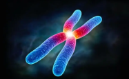 染色体异常做试管能成功吗