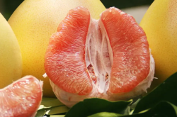  减肥吃柚子会胖吗