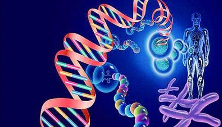 基因病可以做三代试管吗