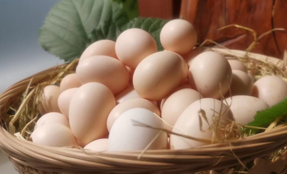 初生蛋和一般的鸡蛋有什么区别