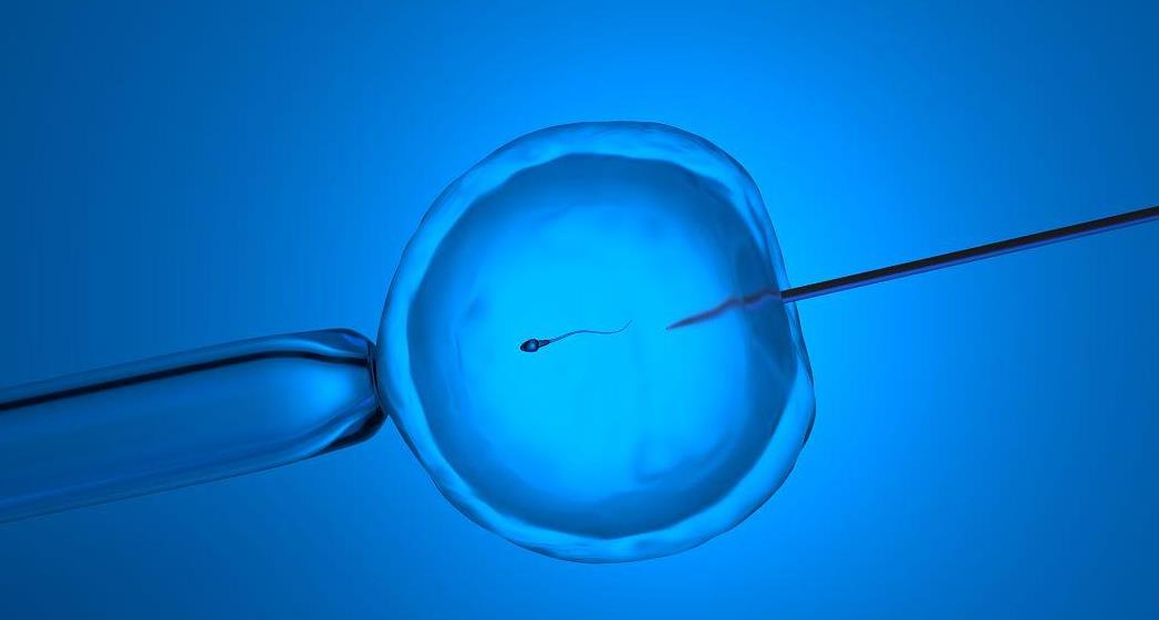 What is the difference between artificial insemination and in vitro fertilization (IVF)?