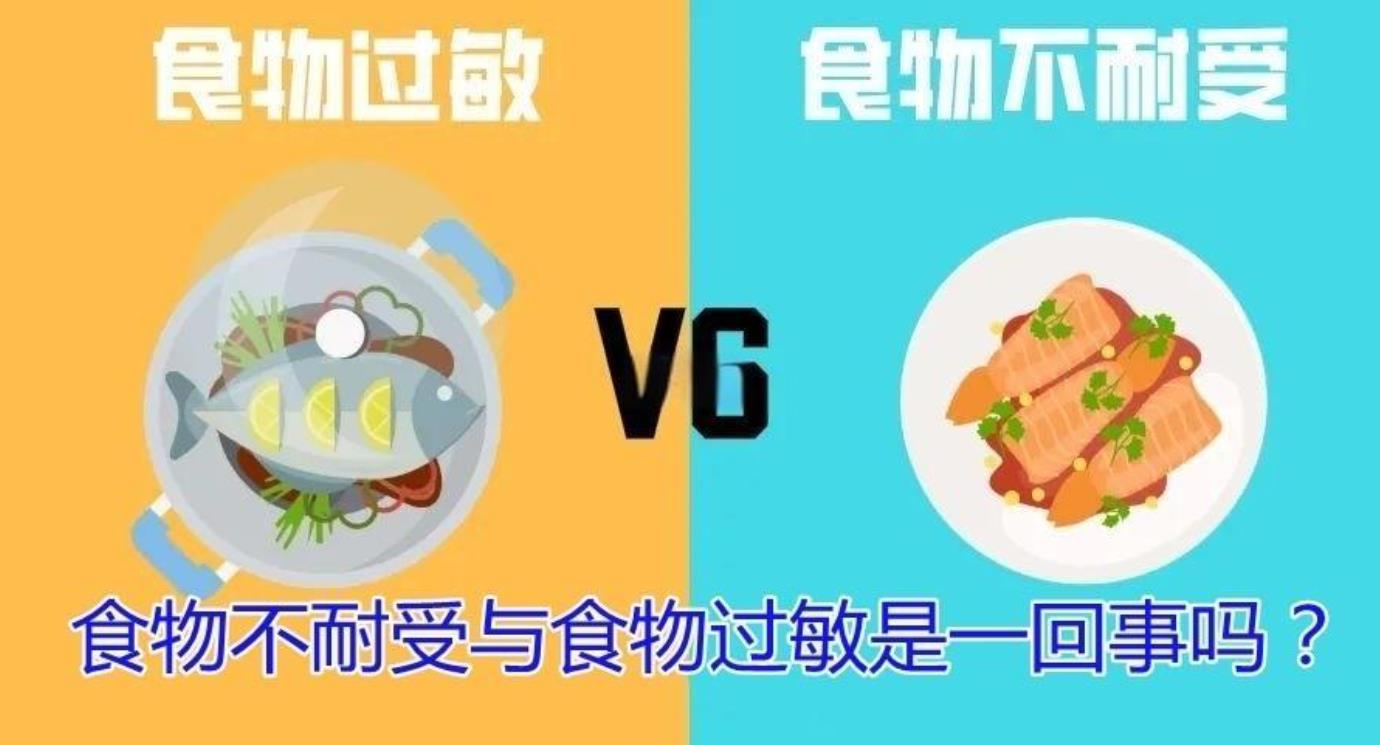 食物不耐受跟食物过敏有什么区别