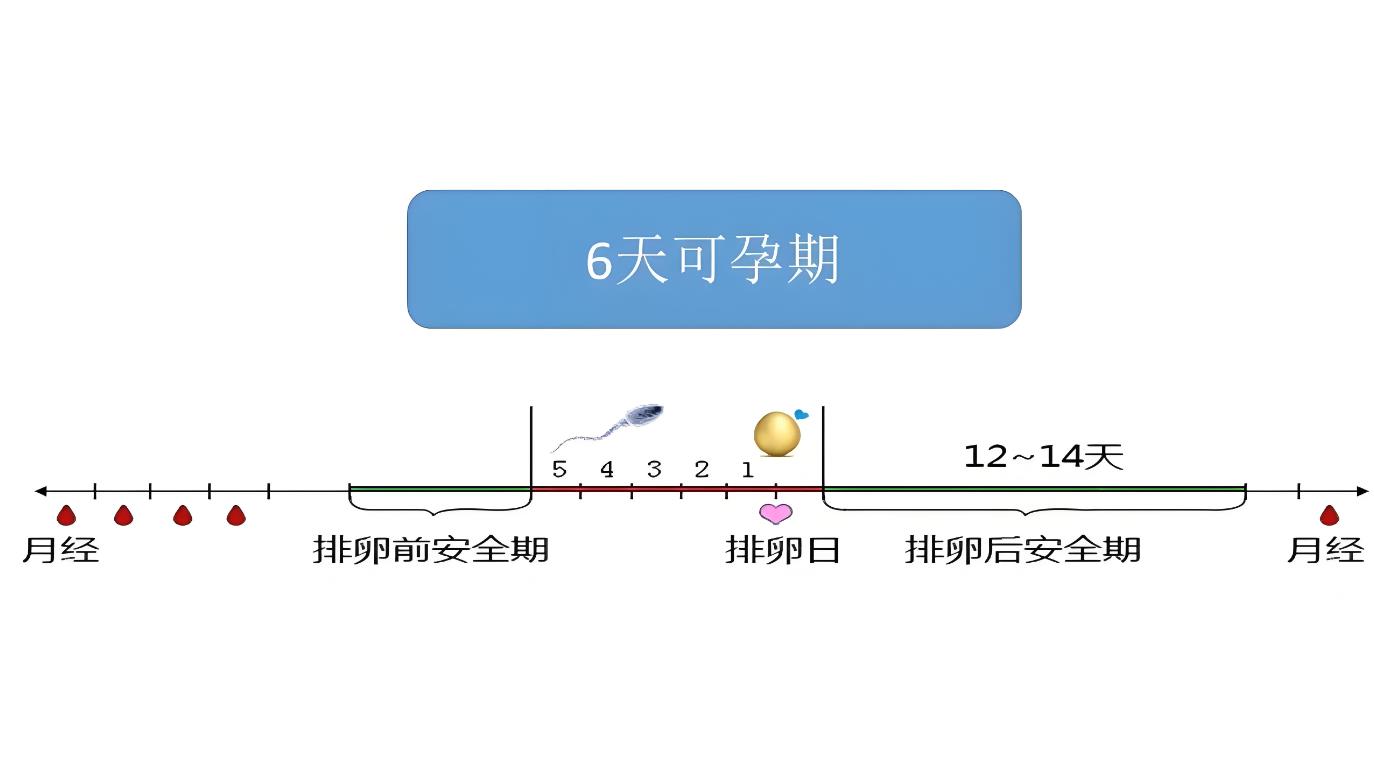 受孕窗口期有多长时间