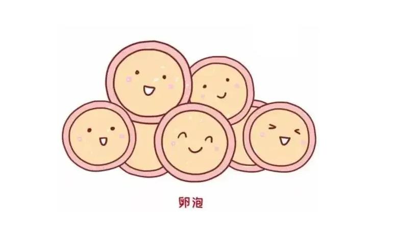 卵泡25x22医生说没希望了,卵泡25x20是不是老化了